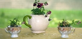 Top Tips on Turning Household Objects Into Unique Planters