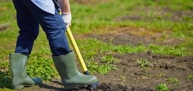 Want To Get Healthy? Take Up Gardening