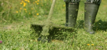 Gardening for Beginners